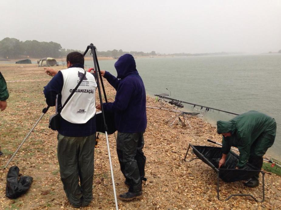 CM Portugalia - 2013 (5) - 1211.jpg